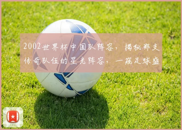 2002世界杯中国队阵容，揭秘那支传奇队伍的星光阵容，一窥足球盛宴