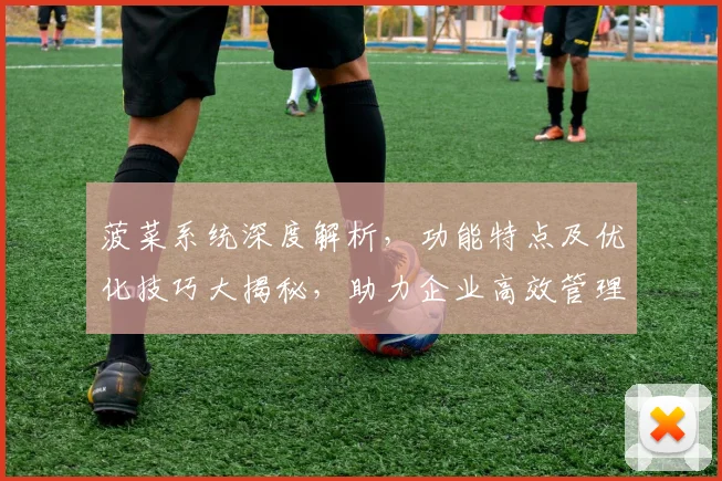 菠菜系统深度解析，功能特点及优化技巧大揭秘，助力企业高效管理